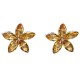 Light Brown Diamante Flower Stud Earrings